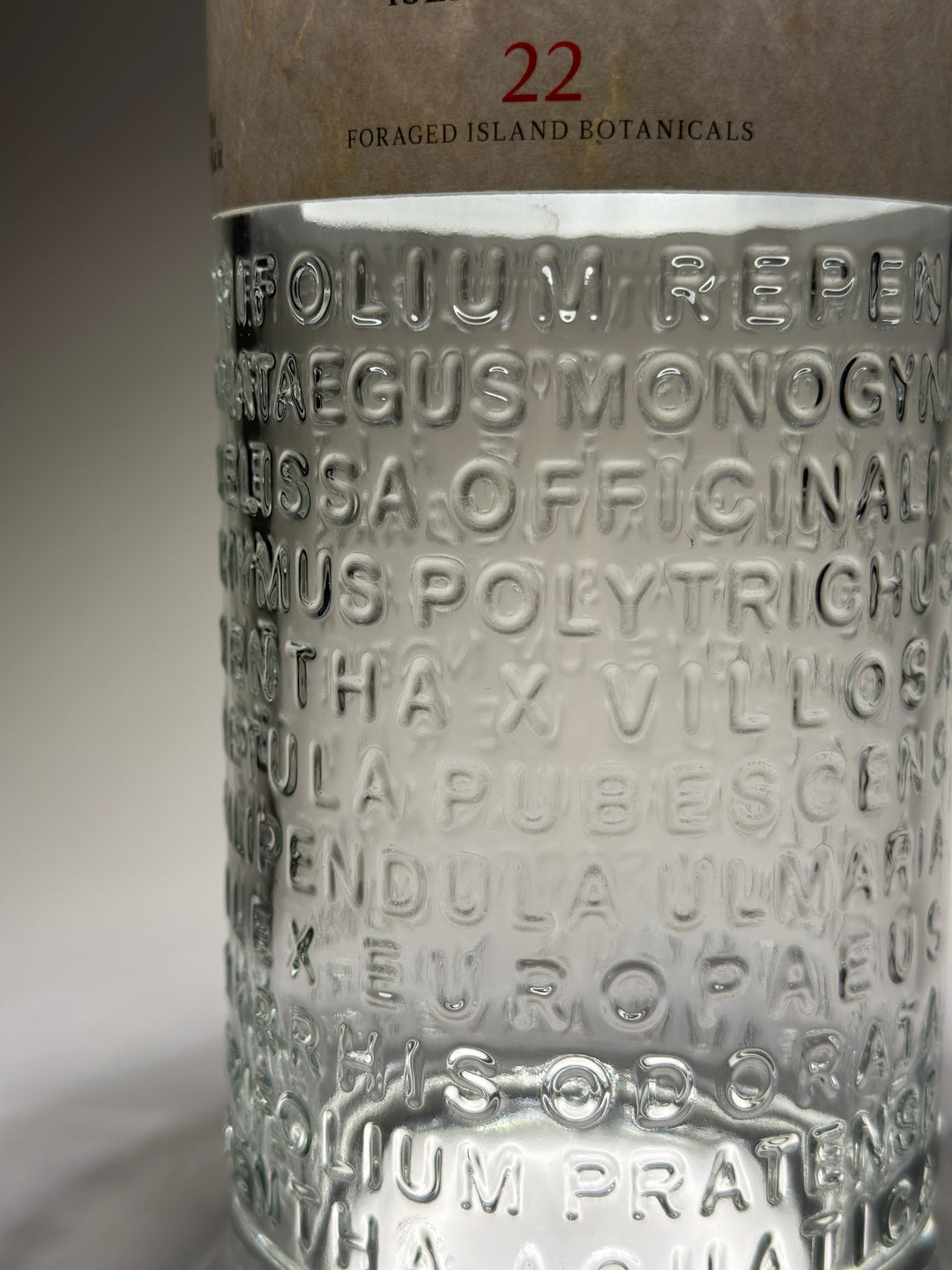 Lampada THE BOTANIST ricaricabile